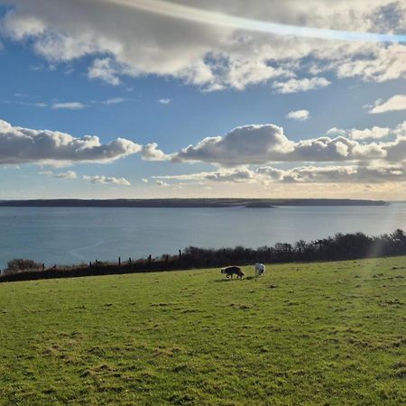 Coast Path Camping Saint Ishmaels  Bagian luar foto