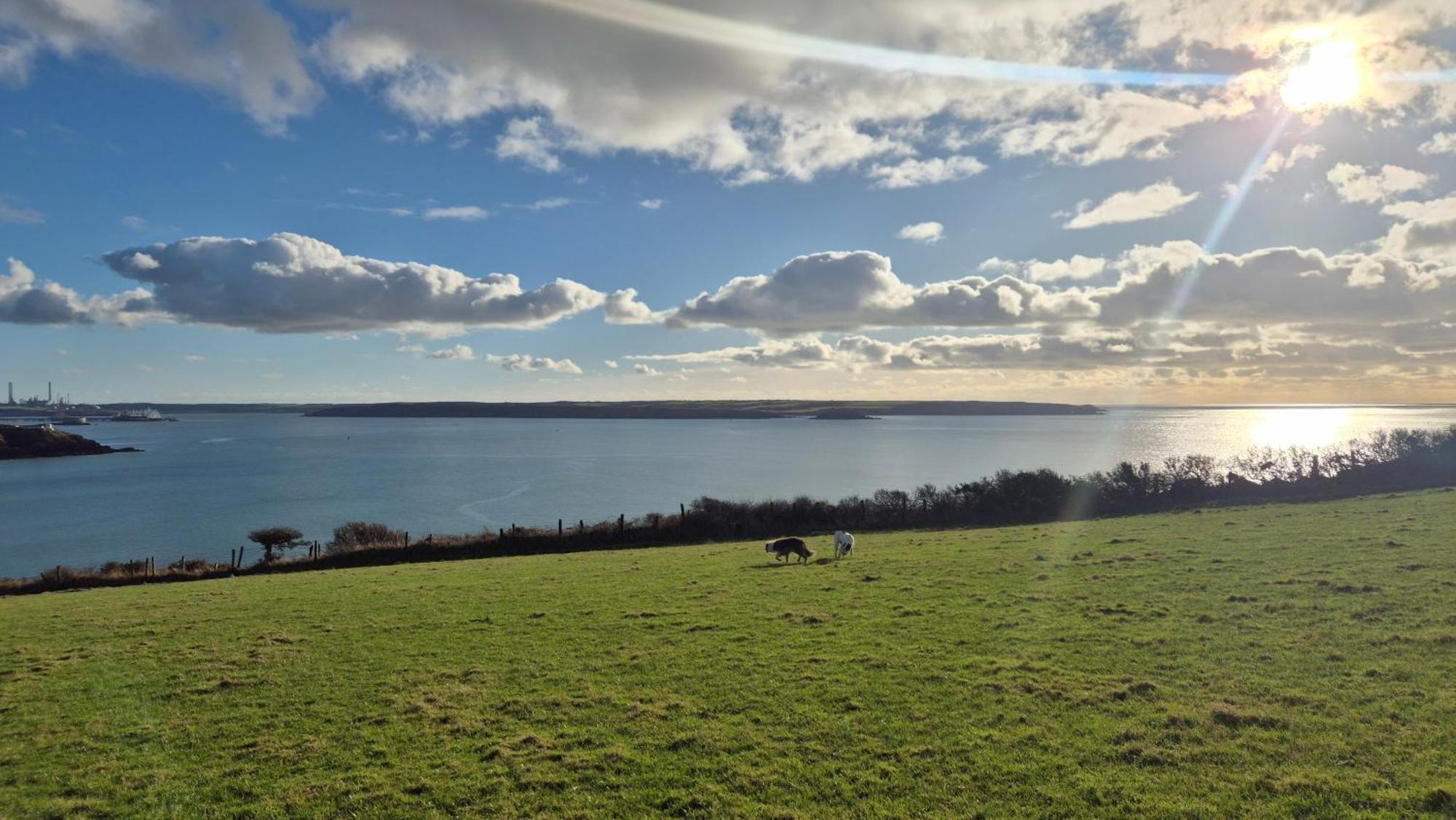 Coast Path Camping Saint Ishmaels  Bagian luar foto